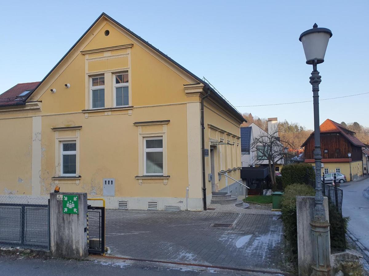 Jantar Apartmaji Novo Mesto Buitenkant foto
