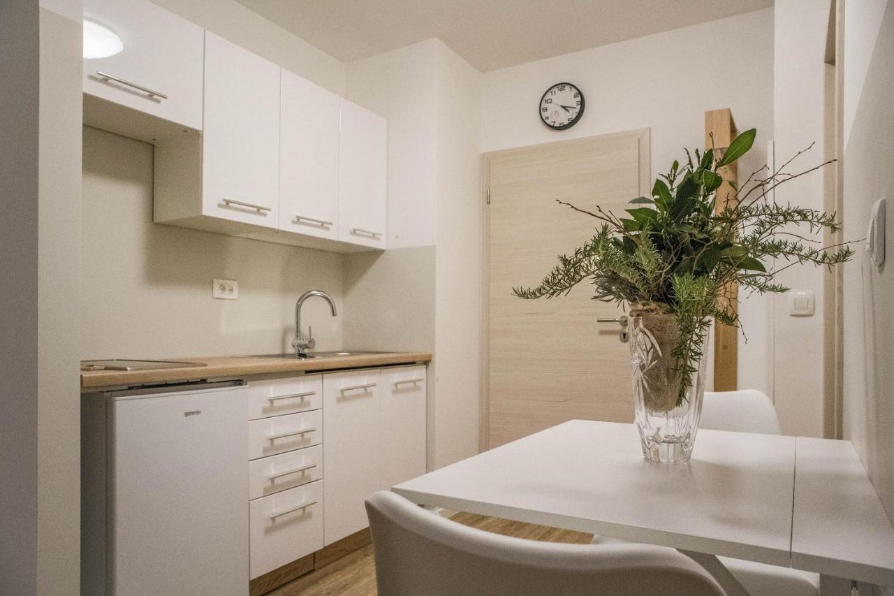 Jantar Apartmaji Novo Mesto Buitenkant foto
